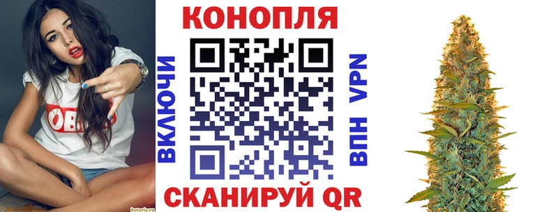 Купить наркотики Электросталь Псилоцибиновые грибы  Мефедрон  ГАШИШ  Бошки Шишки  COCAIN  СК 