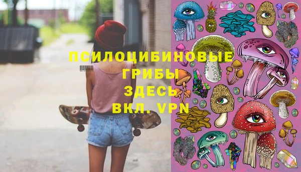 Альфа ПВП Переславль-Залесский