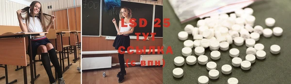 прущие грибы Абаза