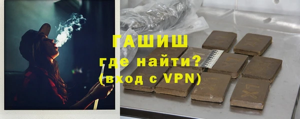 прущие грибы Абаза