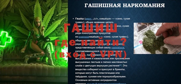 прущие грибы Абаза