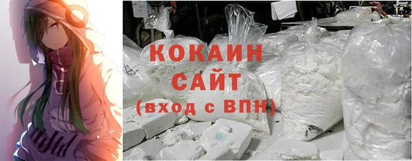 прущие грибы Абаза