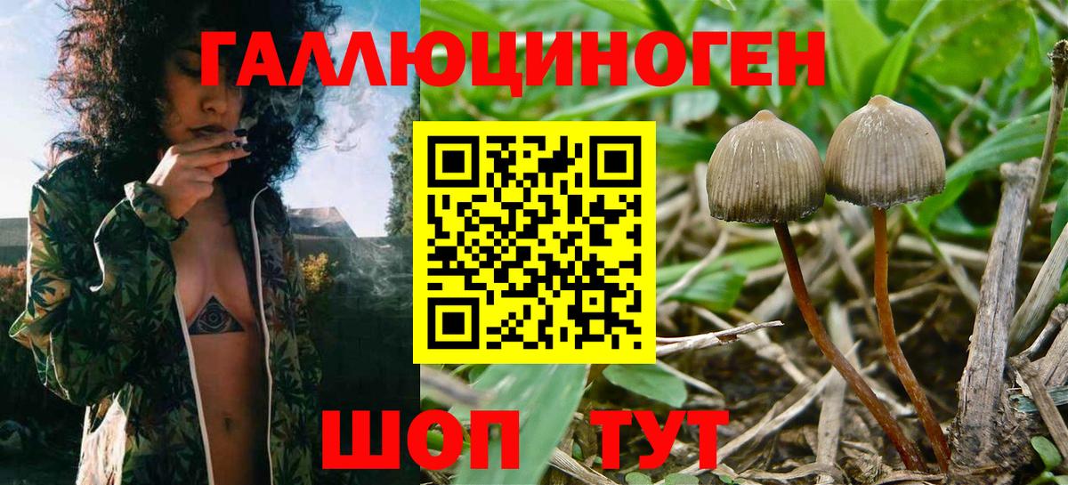 Электросталь  Псилоцибиновые грибы ЛСД  что такое   Галлюциногенные грибы мухоморы  Вход с VPN 